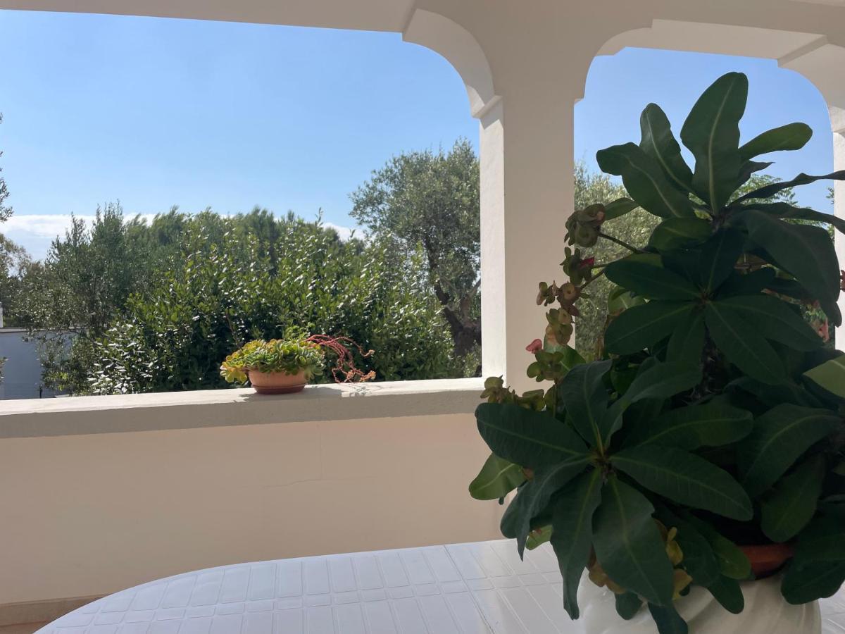 Villa Gioia אוסטוני מראה חיצוני תמונה